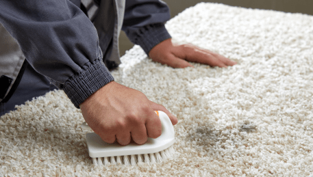 Professional Rug Cleaning Karingal